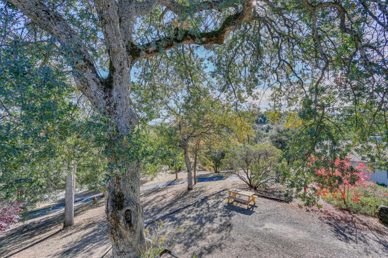 Cozy Studio With Well-Being Retreat Near Yosemite! Ahwahnee Luaran gambar