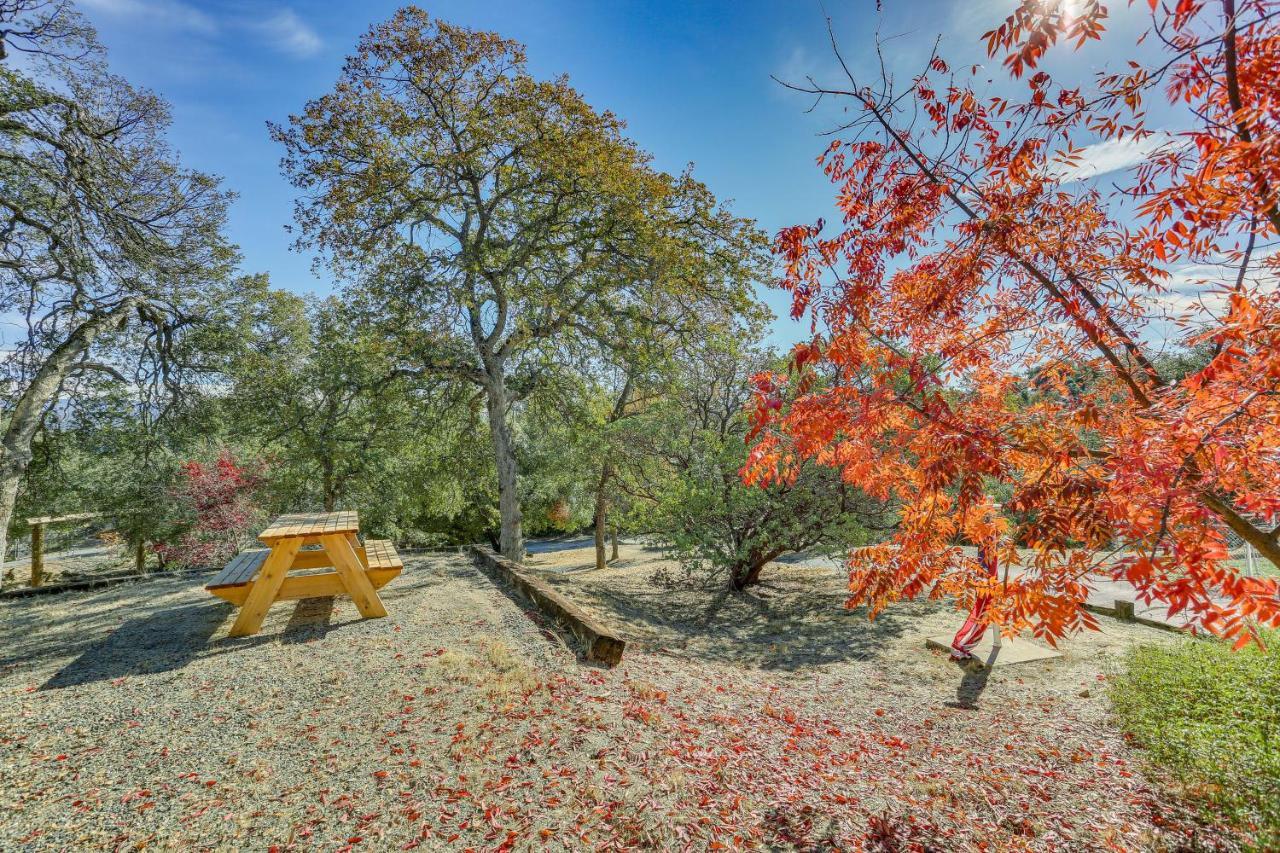 Cozy Studio With Well-Being Retreat Near Yosemite! Ahwahnee Luaran gambar